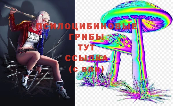винт Алексин