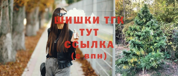 трава Абаза