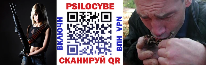 где найти Прохладный Псилоцибиновые грибы GOLDEN TEACHER