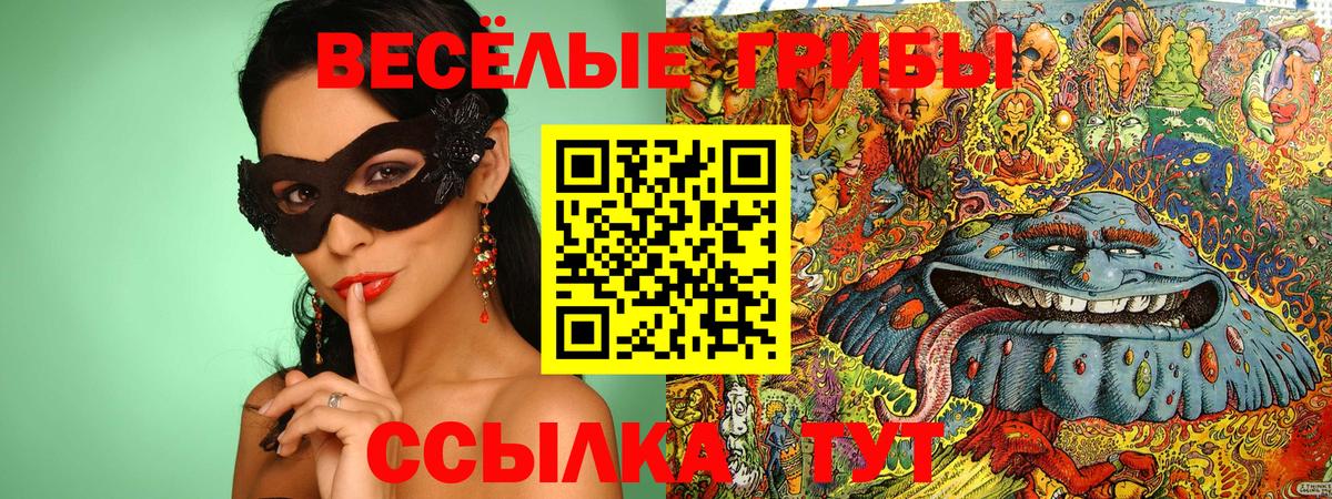 Прохладный  купить наркотики цена  Вход с VPN  Псилоцибиновые грибы Cubensis 